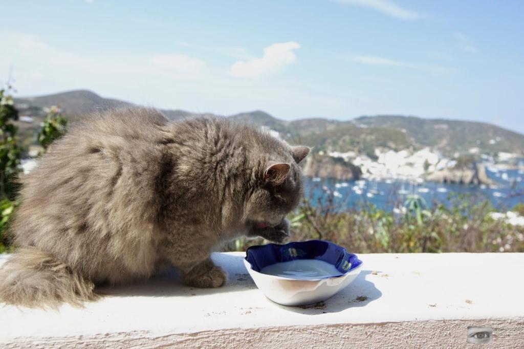 Villa Pina Πόντσα Εξωτερικό φωτογραφία